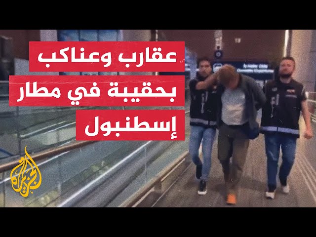 ⁣1500 عقرب وعنكبوت في حقيبة أمريكي بمطار إسطنبول