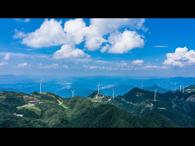 ⁣GLOBALink | China making huge contribution to fight against climate change: German executive