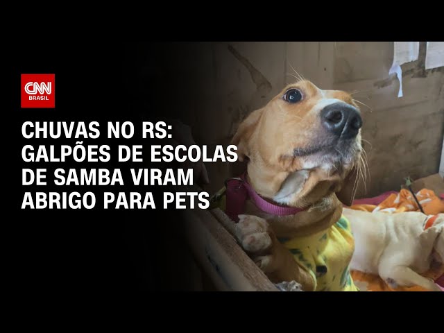 ⁣Chuvas no RS: galpões de escolas de samba viram abrigo para pets | CNN NOVO DIA