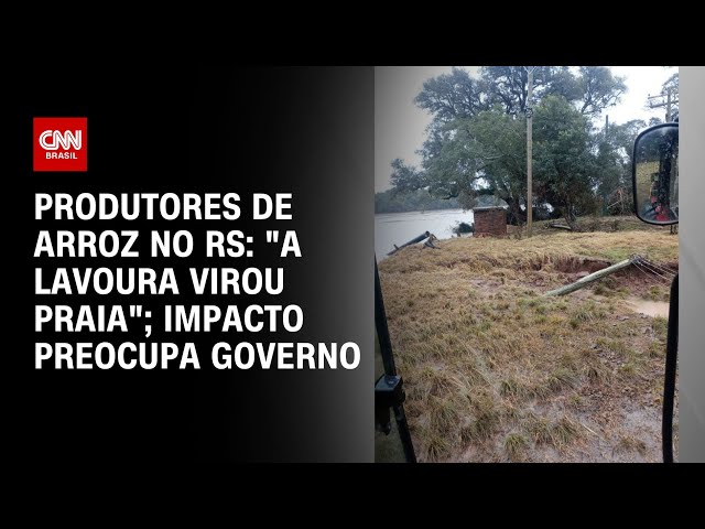 ⁣Produtores de arroz no RS: "A lavoura virou praia"; impacto preocupa governo | CNN NOVO DI