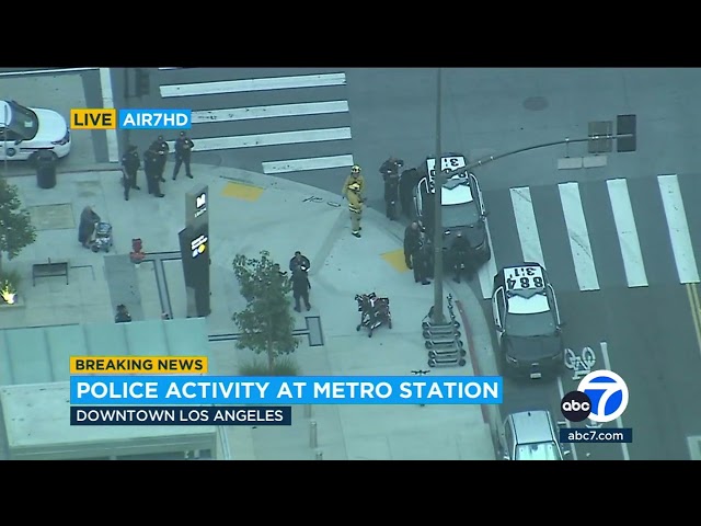 ⁣2 in custody after suspect gets on top of train at DTLA Metro station