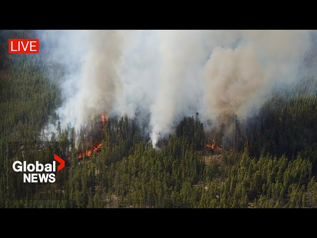 ⁣Manitoba wildfires: Canada to announce support for wildfire response | LIVE