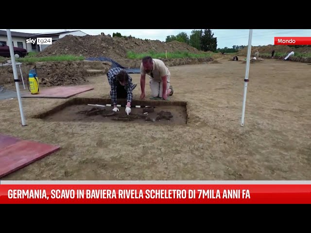 ⁣Germania, scavo in Bavaria rivela scheletro di 7mila anni fa