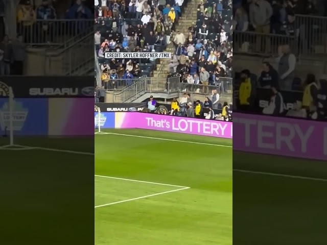 ⁣Raccoon romps on field at MLS game