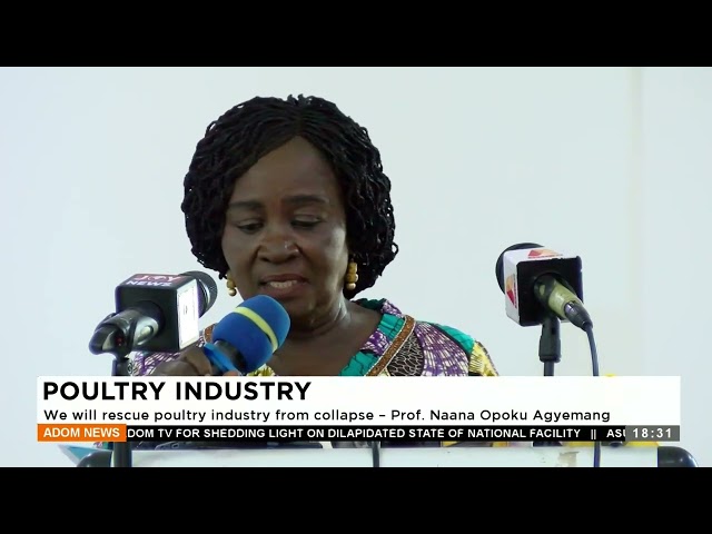 ⁣We will rescue poultry industry from collapse  Prof Naana Opoku Agyemang- Adom TV Evening News