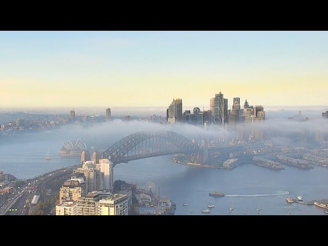 ⁣Sydney ferry services resume after being cancelled due to heavy fog