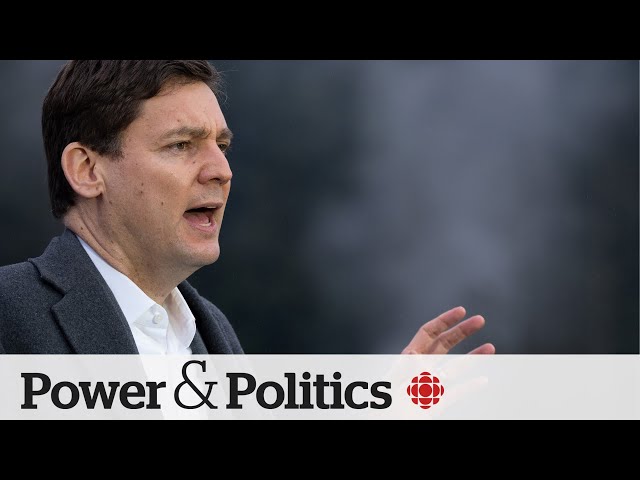 ⁣B.C. United Leader says merger with B.C. Conservatives unlikely | Power & Politics