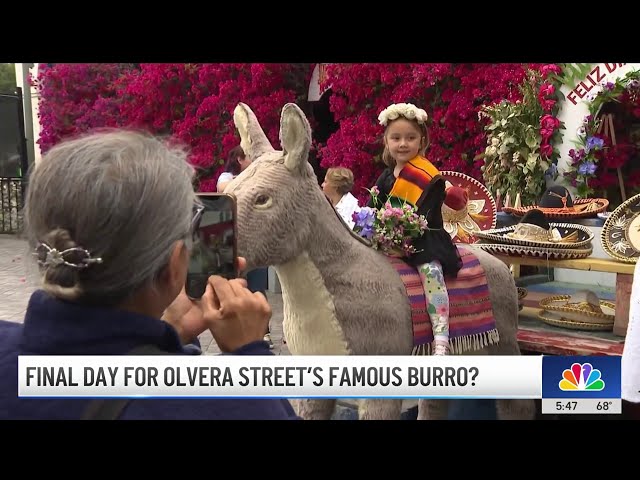 ⁣Time is running out for LA's famous Olvera Street burro