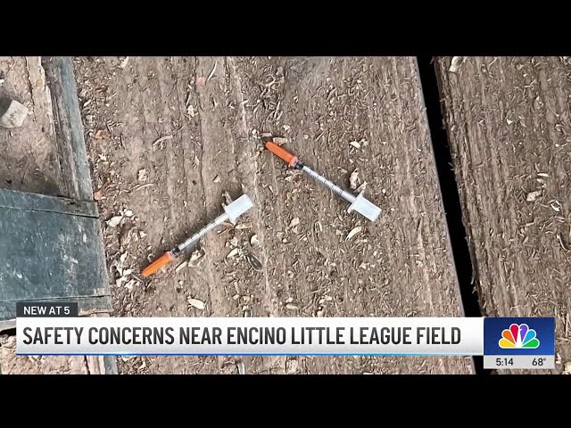 ⁣Parents share safety concerns near Encino little league field