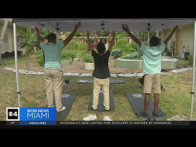 ⁣Miami school receives $7,000 grant thanks to MTV's Mental Health Action Day