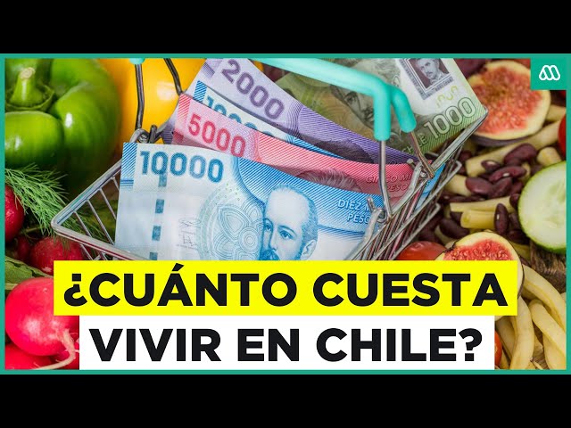 ⁣El coste de la vida en Chile: Los malabares económicos que realizan los chilenos