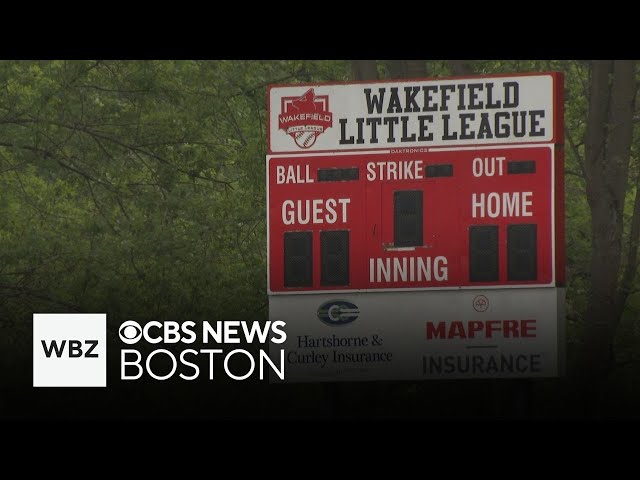 ⁣12-year-old Wakefield Little League pitcher throws perfect game