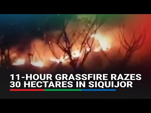 ⁣11-hour grassfire razes 30 hectares of grassland in Siquijor | ABS-CBN News