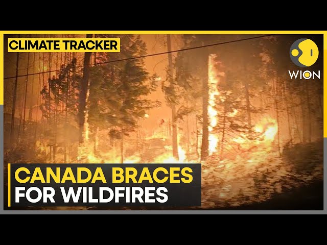 ⁣Canada braces for more wildfires; oil companies reduce staff members on duty | WION Climate Tracker