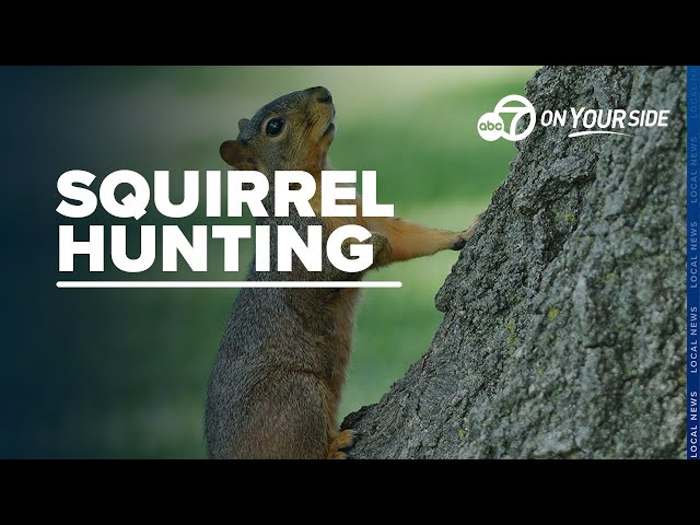 ⁣Arkansas squirrel hunting season begins