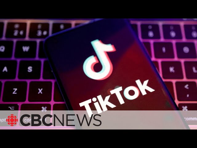 ⁣If you use TikTok, China can spy on you, says CSIS director