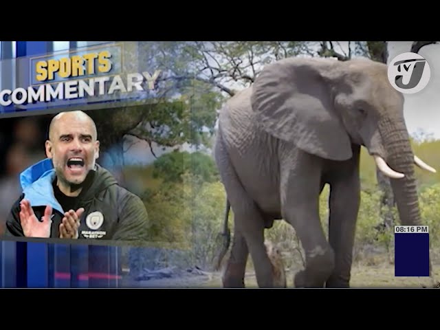 ⁣Manchester City 4th English Premier League Title 'Elephant in the Room' | TVJ Sports Comme