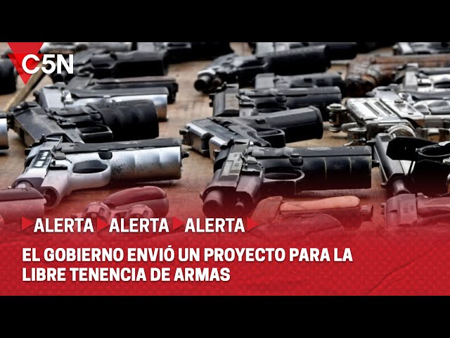 ⁣EL GOBIERNO y el PROYECTO para PORTACIÓN de ARMAS: HABLA MARTÍN ANGEROSA, EX COORDINADOR del RENAR