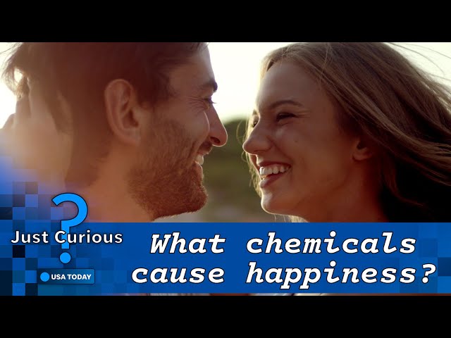 ⁣What chemical makes you happy? It's not just dopamine and serotonin. | JUST CURIOUS