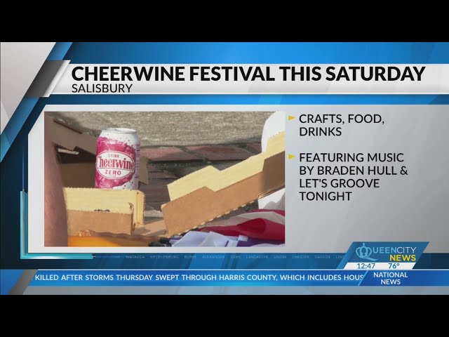 ⁣Cheerwine Fest kicks off this weekend in Salisbury