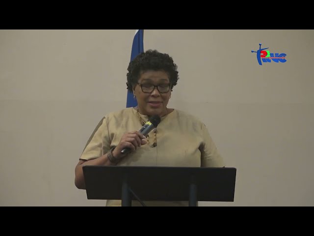 ⁣Ronyde Bélizaire Imbert Nan okazyon jounen nasyonal  ANSEYAN YO  pran pawol nan non minis NESMY