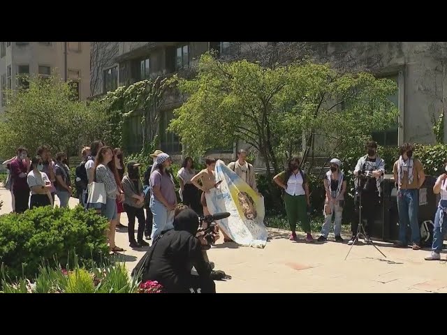 ⁣UChicago protest, show support for Palestine, amid Alumni Weekend