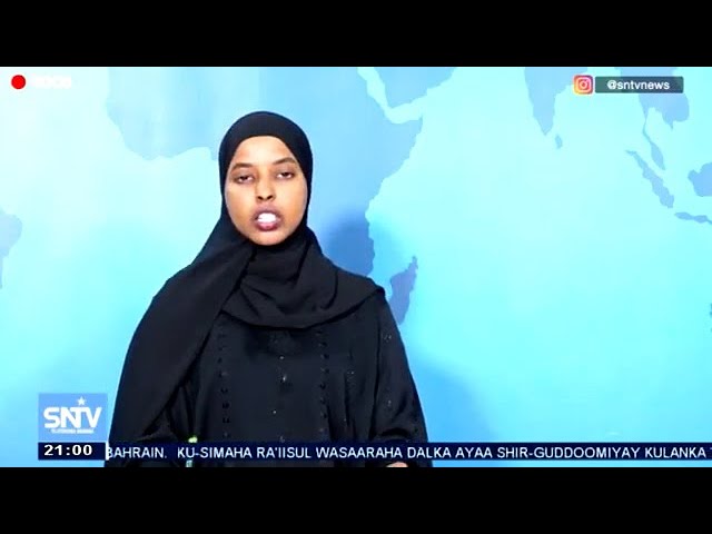 WARKA HABEEN EE SNTV 17.05.2024