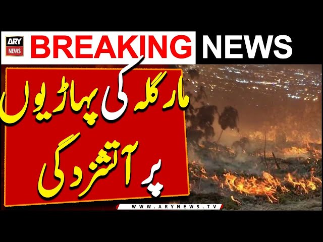 ⁣Fire erupts in Islamabad forest Margalla Hills | ARY Breaking News