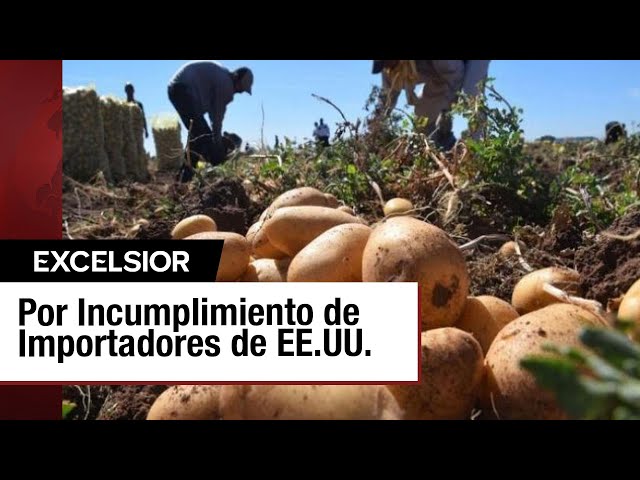 Productores mexicanos de papa preocupados por incumplimiento de EU