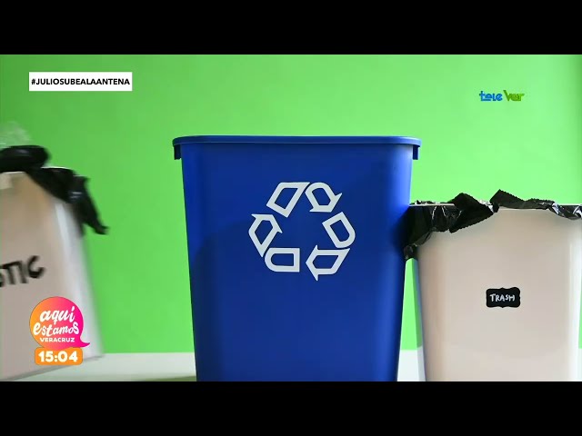 ⁣Desde casa podemos reciclar pero ¿como podemos hacerlo?