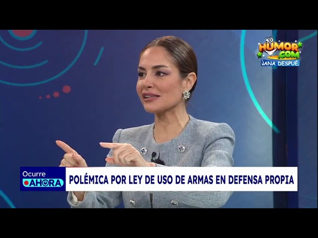 Polémica por ley de uso de armas en defensa propia