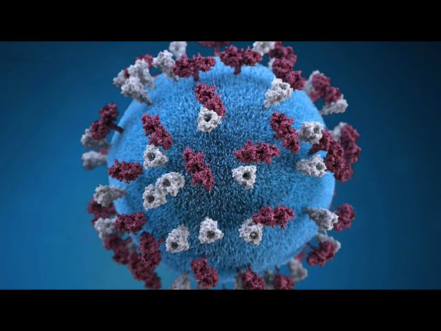 ⁣Hamilton, Ont. child who died from Measles virus was unvaccinated: Health officials say