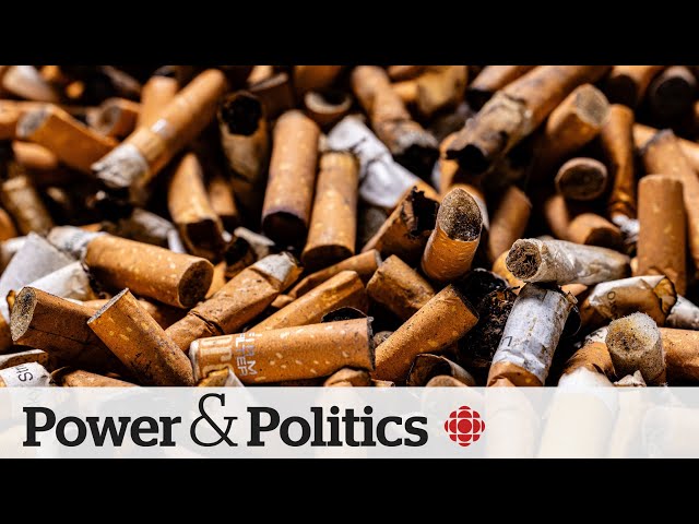 ⁣Next generation of P.E.I. could be hit with tobacco ban | Power & Politics
