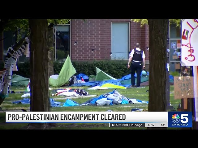 ⁣Decision to dismantle DePaul encampment comes with political impacts