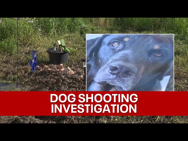 ⁣Kaufman County sheriff won't release outcome of investigation after deputy shoots family dog