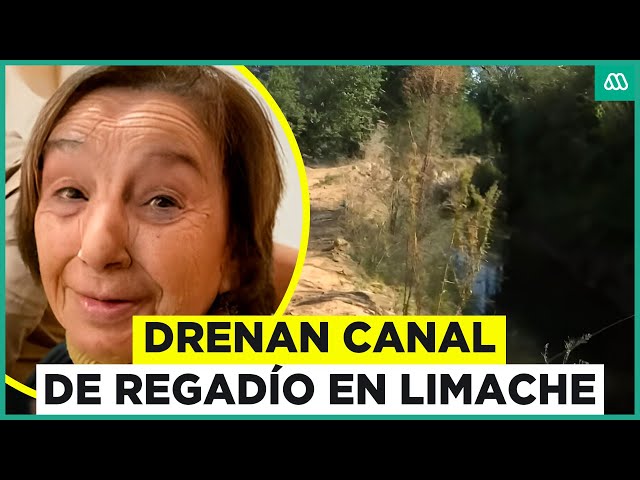 ⁣Desaparición de adulta mayor en Limache: Secan canal de regadío