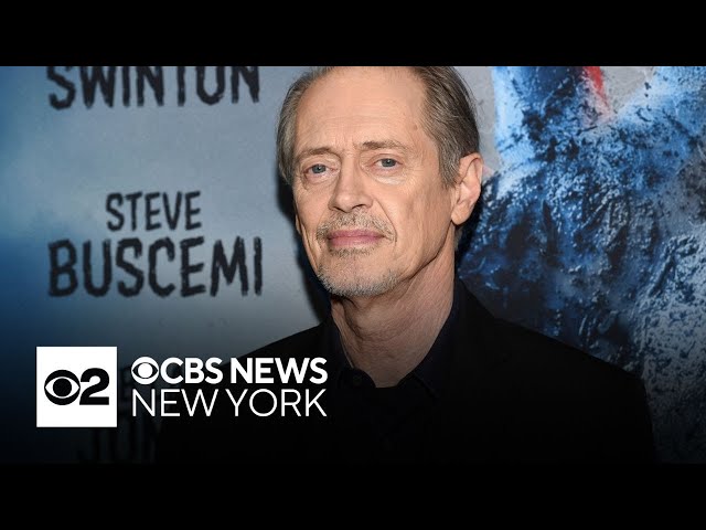 ⁣Suspect facing felony assault charges in attack on actor Steve Buscemi