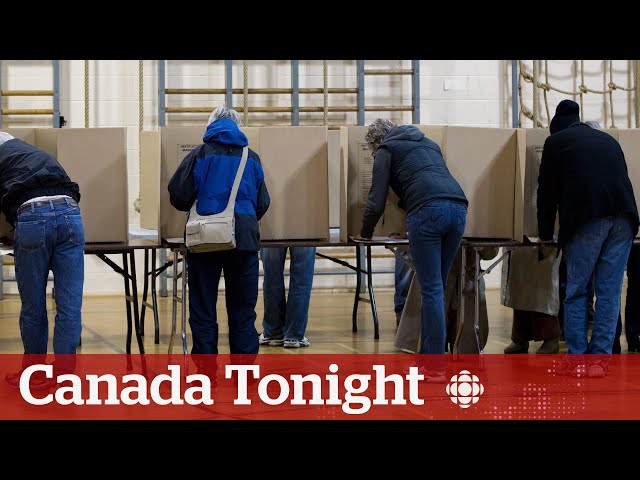 ⁣B.C. ruling could lead political parties to reveal voter data collection details | Canada Tonight