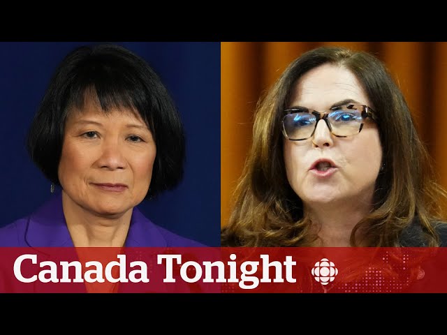 ⁣Federal government rejects Toronto's simple drug decriminalization request | Canada Tonight
