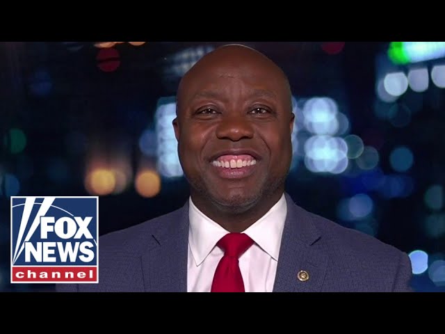 ⁣Tim Scott: The media is not showing the truth of who Biden has always been