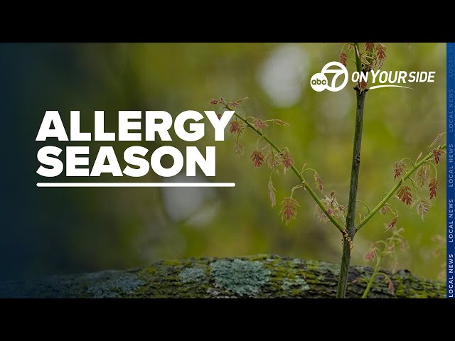⁣Arkansas experiences elongated allergy season, doctors give coping tips