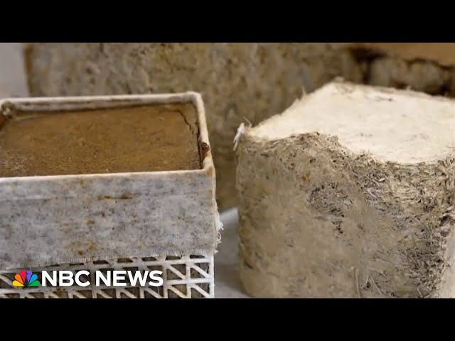⁣Concrete made from sugarcane could help fight climate change