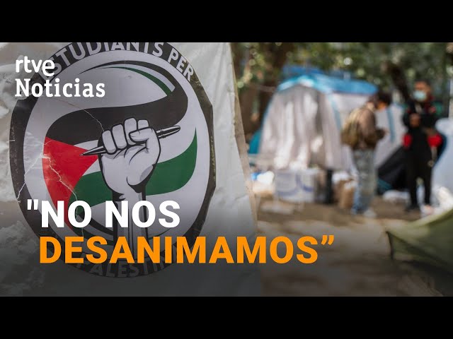 ⁣PROTESTAS PROPALESTINAS: Las ACAMPADAS UNIVERSITARIAS continúan en VARIAS CIUDADES de ESPAÑA | RTVE
