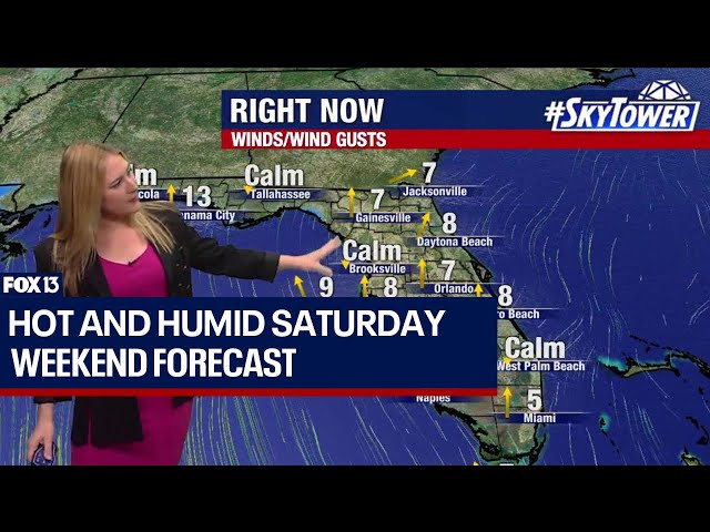 ⁣Tampa weather | Hot and humid Saturday with isolated showers
