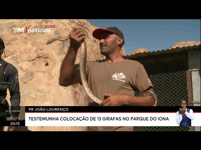 Parque Nacional do Iona - Mais de 70 fiscais monitoram a vida selvagem