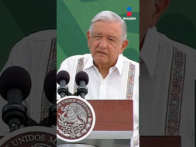 López Obrador habla sobre el asesinato de la candidata Lucero López | Shorts | La Mañanera