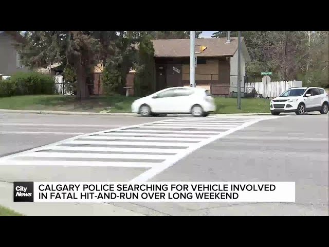 ⁣Calgary Police searching for vehicle involved in fatal hit-and-run over long weekend