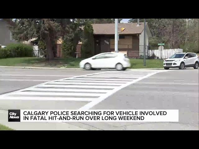 Calgary Police searching for vehicle involved in fatal hit-and-run over long weekend