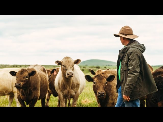 ⁣Markets for Australian beef 'changes by the day'