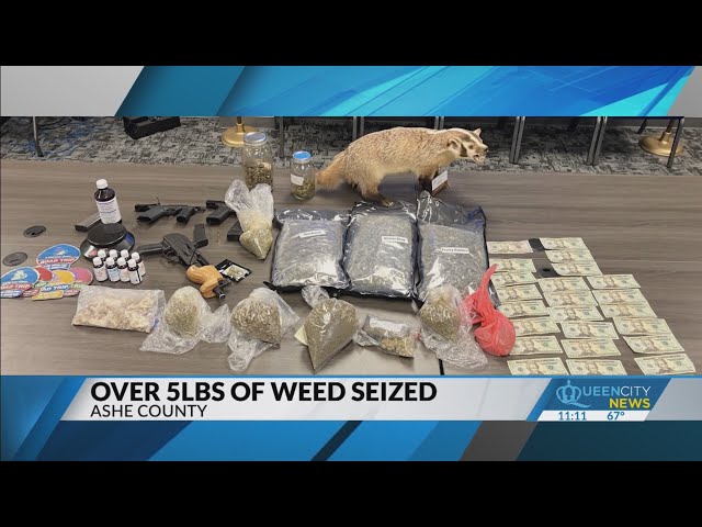 ⁣Teen charged with having 5lbs of marijuana: Sheriff